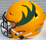 Edmonton Antlers helmet