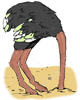sanded ostrich