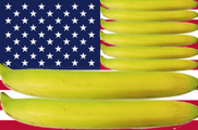 US banana flag