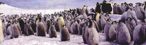 Michael Howard Xmas card