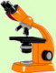 Science News microscope picture