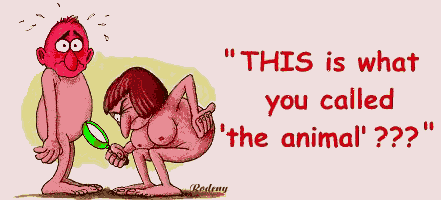 The Animal cartoon