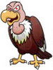 Vulture News Network1