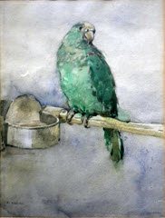 Parakeet watercolour by Robert Eadie