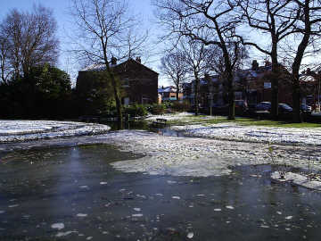 Park 5