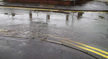Beechwood Ave