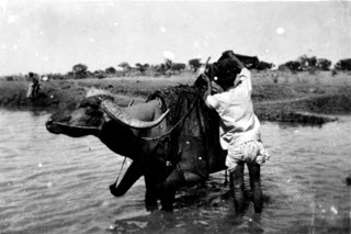 India 1940s by Harry Turner