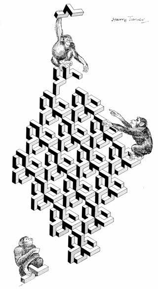 Monkey Puzzle by Harry Turner