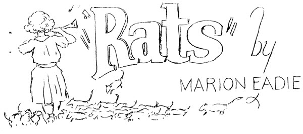 Rats by Marion F. Eadie