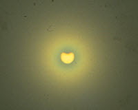 1973 eclipse photo by Harry Turner