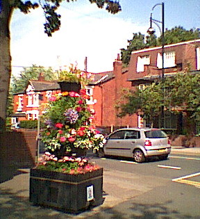 Lyme Grove planter