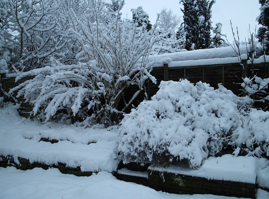 Winter in Romiley, 2010