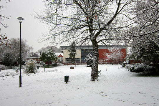Snow in Romiley, 2013