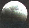 Moon 2