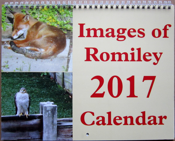 Images of Romiley: 2017 calendar