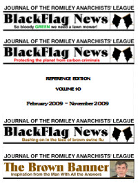 The Black Flag Volume 10