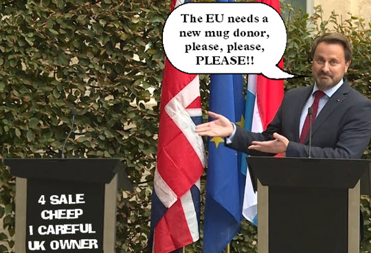 Behold! Your new government of national unity!