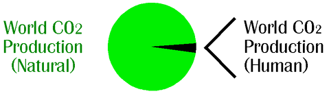 World Carbon Dioxide Production