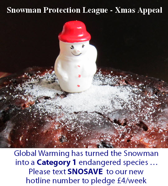 Snowman Protection League Xmas Appeal