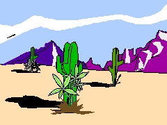Cactus Pic